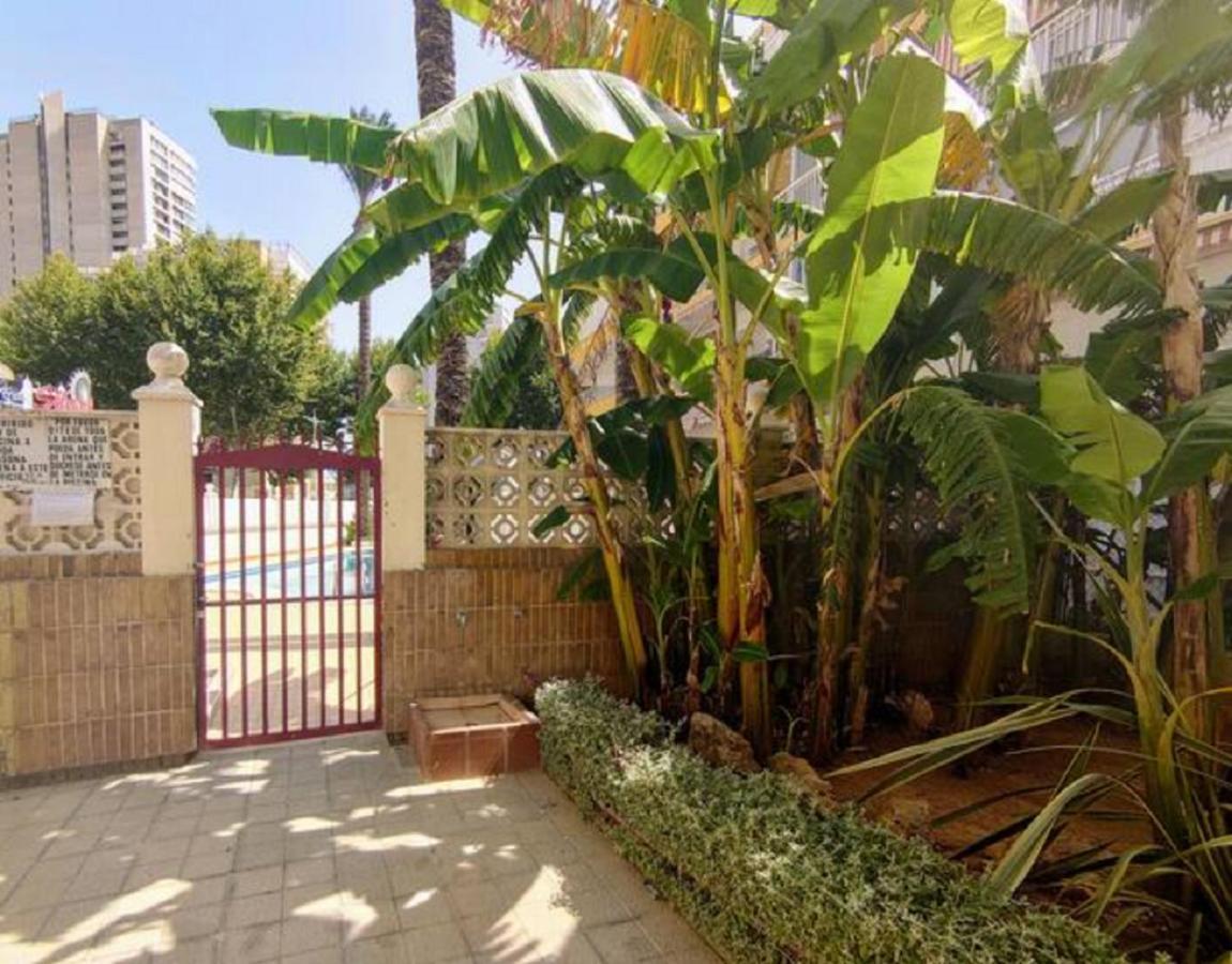 Appartamento Benidorm Rocas One, Un Oasis A 100 Metros Del Mar Esterno foto